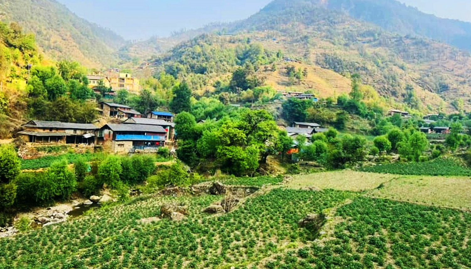एक अर्ब ९४ करोड ६० लाख मूल्यको आलु उत्पादन एक अर्ब ९४ करोड ६० लाख मूल्यको आलु उत्पादन