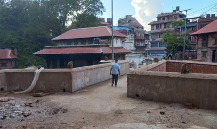 अलपत्र गौरीघाट पुल करिब एक वर्षपछि बन्यो