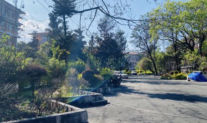 क्षतिग्रस्त सिंहदरबारका भवनमा रङरोगन, जलेका रुखहरुले हाल्दैछन् पालुवा क्षतिग्रस्त सिंहदरबारका भवनमा रङरोगन, जलेका रुखहरुले हाल्दैछन् पालुवा