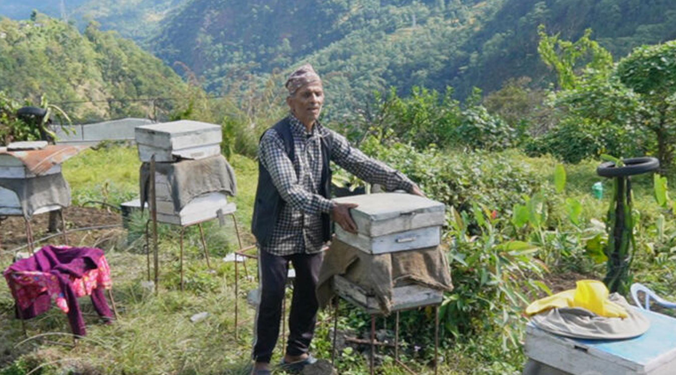 मौरीपालनबाट वार्षिक १५ लाख आम्दानी