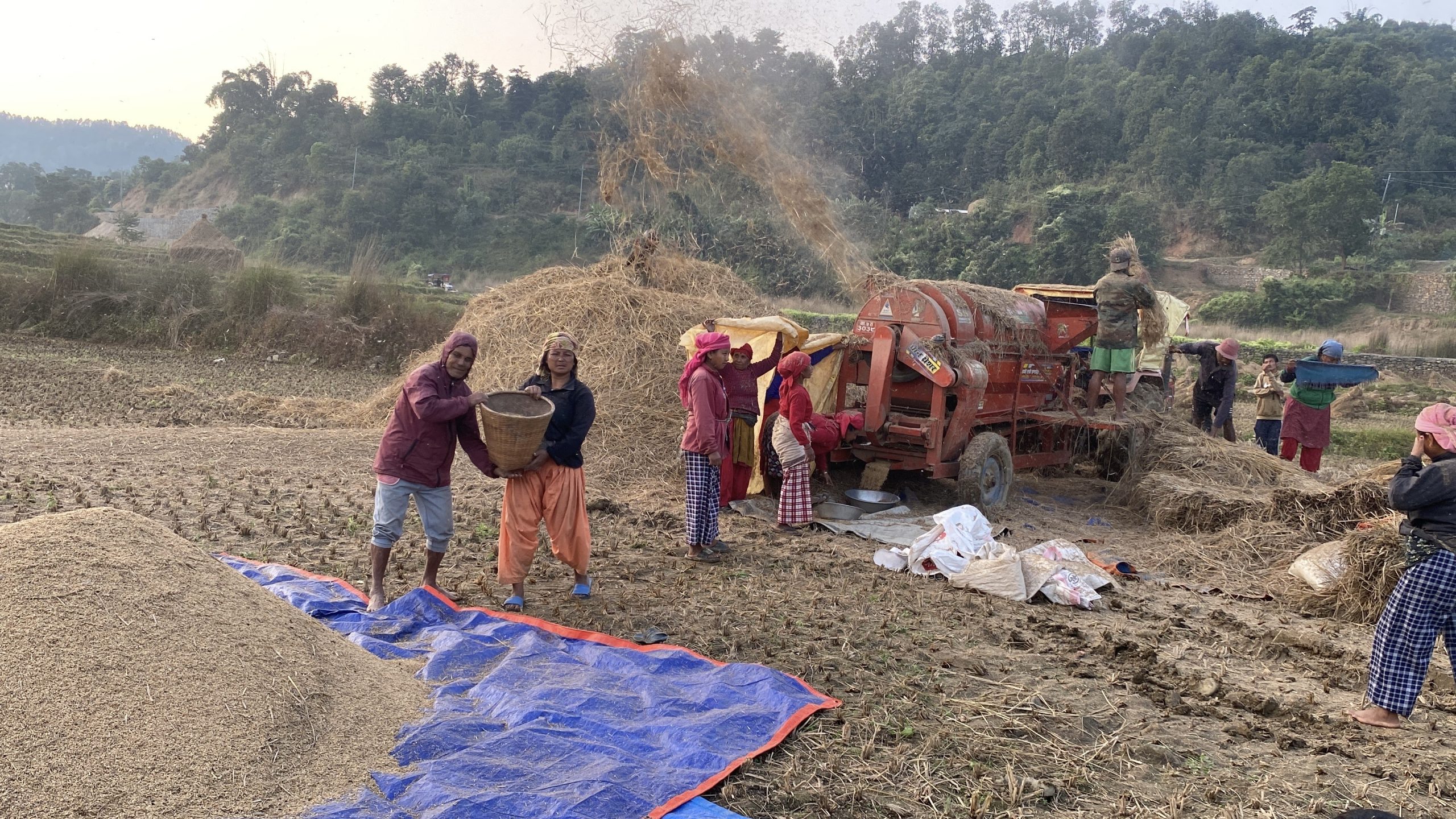 गोरखाका किसानहरु यान्त्रिकरणतर्फ आकर्षित