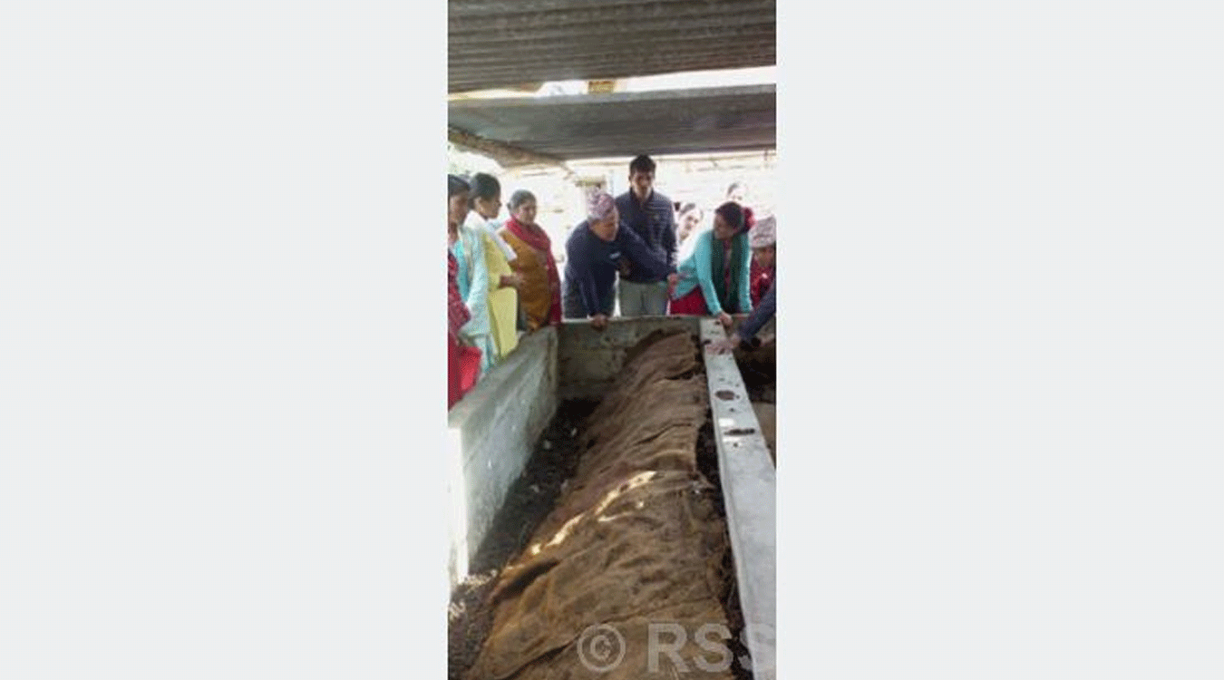 गड्यौलाको मल बिक्रीबाट २५ लाखसम्म आम्दानी