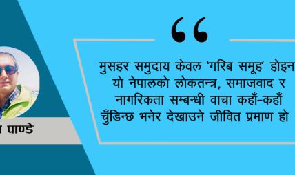 संविधानको खिल्ली उडाउने मुसहरको जीवन