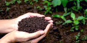 मोरङ ३ मा श्रम संस्कृति अगाडि