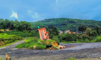 ताथलीगढी र हलालगाउँ आन्तरिक पर्यटकको गन्तव्य बन्दै ताथलीगढी र हलालगाउँ आन्तरिक पर्यटकको गन्तव्य बन्दै