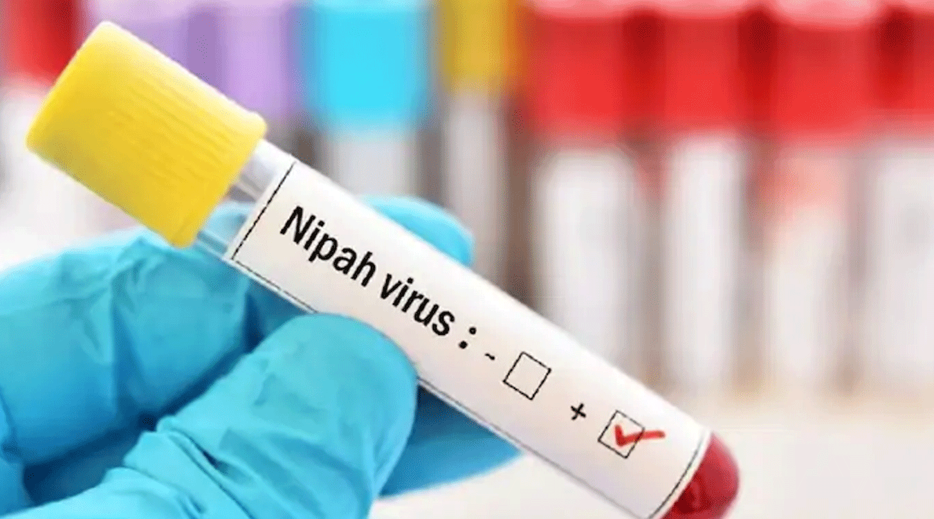 भारतमा निपाह भाइरसका दुई सङ्क्रमण, अवस्था नियन्त्रणमा