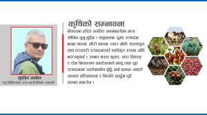 हरित क्रान्तिदेखि दिगो कृषि रूपान्तरणसम्म : विश्व अनुभव र नेपालको सम्भावना