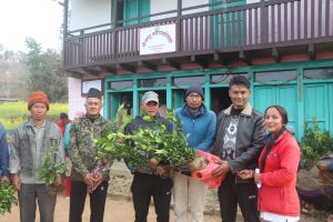 उन्नत जातका सुन्तलाका बेर्ना वितरण