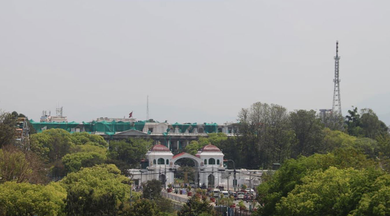 वसन्तको आगमनसँगै काठमाडौँमा छायो हरियाली