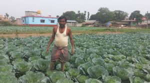 तरकारीखेतीले चिनिँदै बाह्रदशीको राधानगर गाउँ