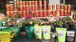 जहाँबाट ‘कोसेली’ नबोकी फर्किन्नन् पर्यटक