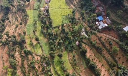 व्यावसायिक फलफूलखेतीतर्फ भुल्केका किसानको आकर्षण