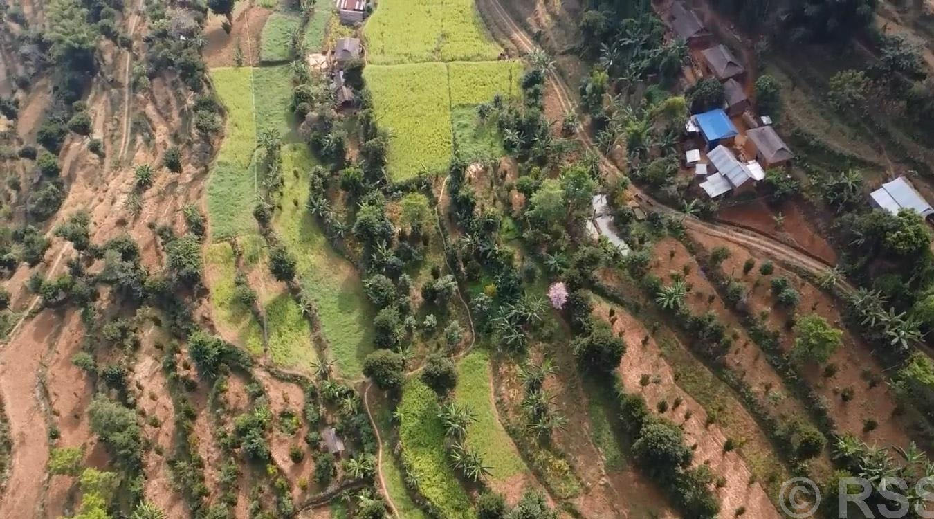 व्यावसायिक फलफूलखेतीतर्फ भुल्केका किसानको आकर्षण