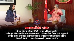 पुराना दलले पनि आत्तिनु पर्दैन, नयाँले मात्तिनु पर्दैनः प्रधानमन्त्री