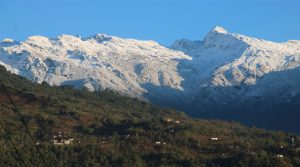 ताप्लेजुङका  डाँडाकाँडा सेताम्मे