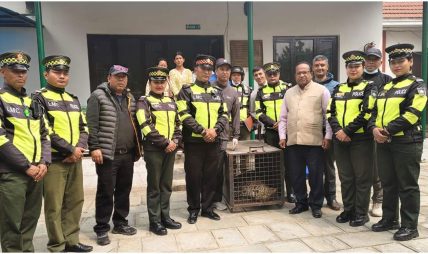 ललितपुरबाट चितुवाको उद्धार