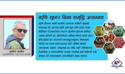 नेपालको कृषि : विगतका असफल नीति, वर्तमान चुनौती र अबको रूपान्तरणको बाटो