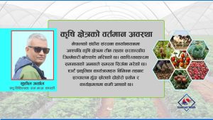 अब संघीय मातहतमा कृषि सेवा प्रवाह हुनुपर्छ