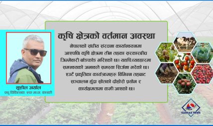 अब संघीय मातहतमा कृषि सेवा प्रवाह हुनुपर्छ