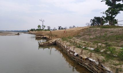 कन्द्रा नदी नियन्त्रणमा जैविक तटबन्ध प्रभावकारी बन्दै