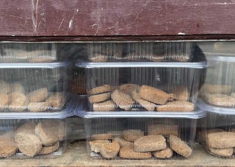 पाहुनालाई कोसेली कोदोको बिस्कुट