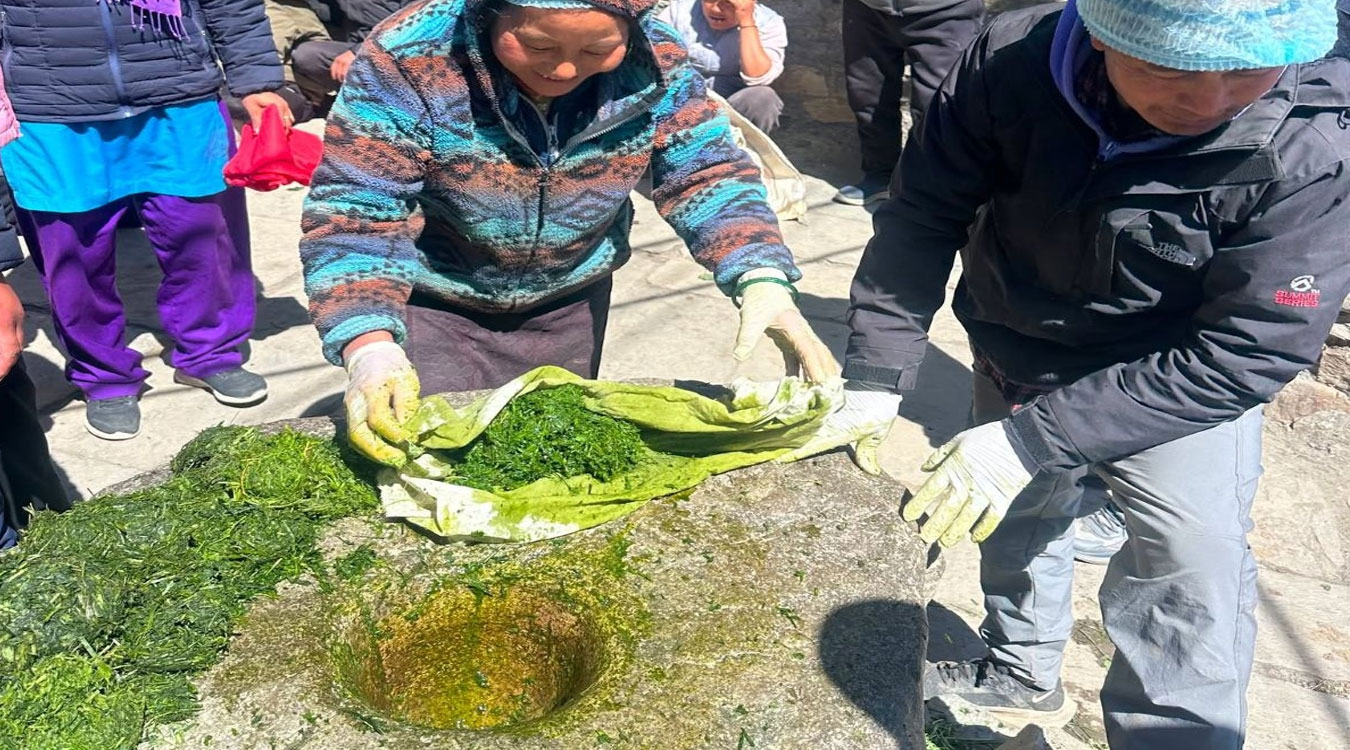 विषादीको विकल्पमा ‘जैविक झोल’