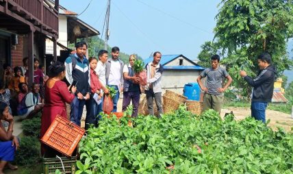 ‘जसले रोप्छ कफीको बोट, उसले पाउँछ रु २० को नोट’