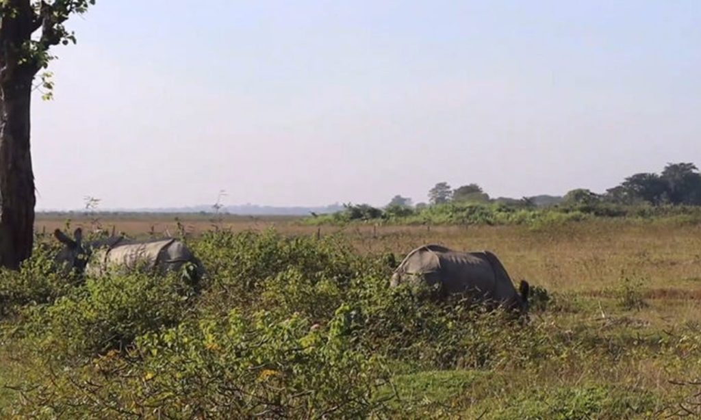 पर्यटकको रोजाइमा कोशी टप्पु