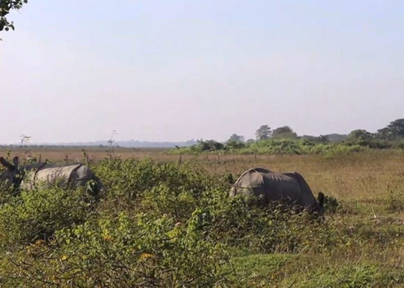 पर्यटकको रोजाइमा कोशी टप्पु