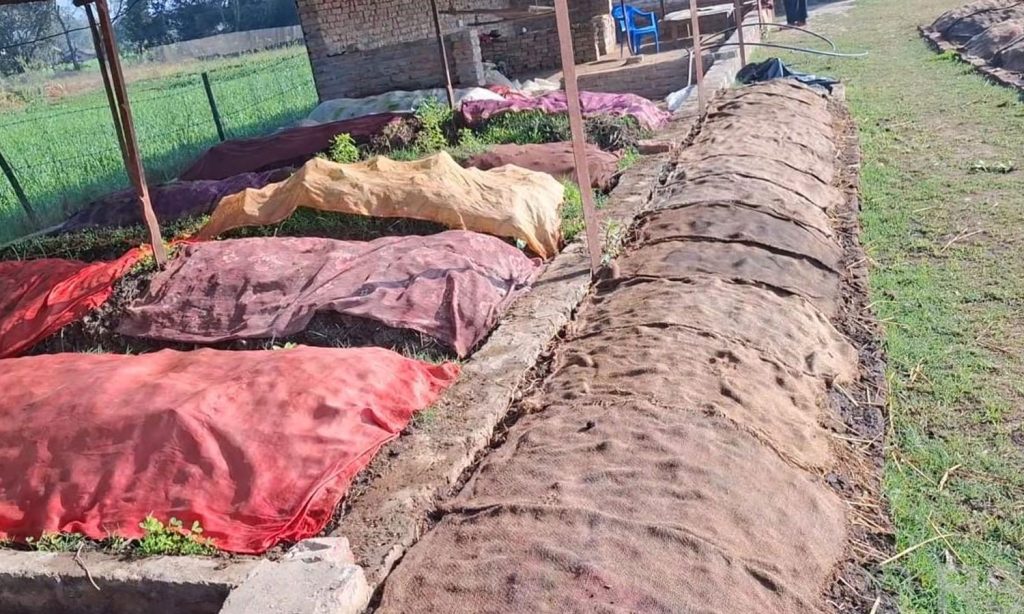 गड्यौलाको मल उत्पादन गरी आत्मनिर्भर बन्दै सिंह