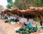 बगरमा पसिना, राजमार्गमा बजार, मुक्तकमैयाको फेरिएको दिनचर्या