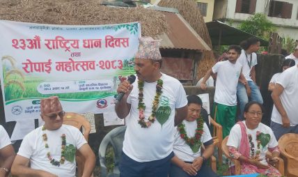 जलवायु मैत्री प्रविधिबाट धानमा आत्मनिर्भरता र समृद्धिको सन्देश: देवचुलीमा मनाइयाे राष्ट्रिय धान दिवस