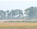 भरतीय पक्षले एकतर्फी बाँध अग्लो बनाउँदा गौर क्षेत्र डुबानको जोखिममा भरतीय पक्षले एकतर्फी बाँध अग्लो बनाउँदा गौर क्षेत्र डुबानको जोखिममा