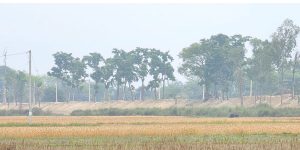 भारतीय पक्षले एकतर्फी बाँध अग्लो बनाउँदा गौर क्षेत्र डुबानको जोखिममा
