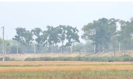 भरतीय पक्षले एकतर्फी बाँध अग्लो बनाउँदा गौर क्षेत्र डुबानको जोखिममा