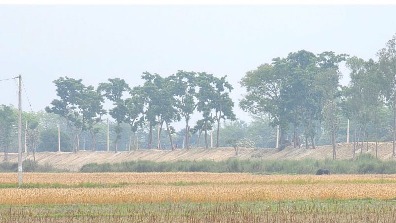 भारतीय पक्षले एकतर्फी बाँध अग्लो बनाउँदा गौर क्षेत्र डुबानको जोखिममा