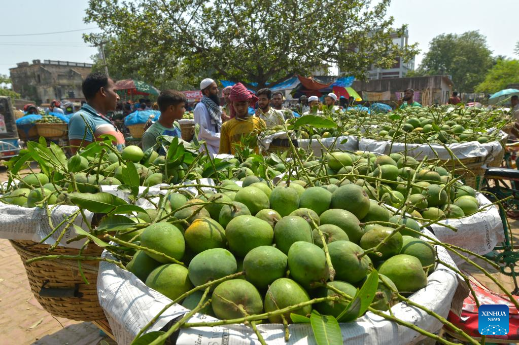 बंगलादेशकाे”आँप कूटनीति”, काठमाडाैँमा बाँडियाे बंगाली आँप