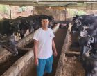 विदेशबाट फर्किएर पशुपालन व्यवसायमा रमाउँदै ढुंगाना