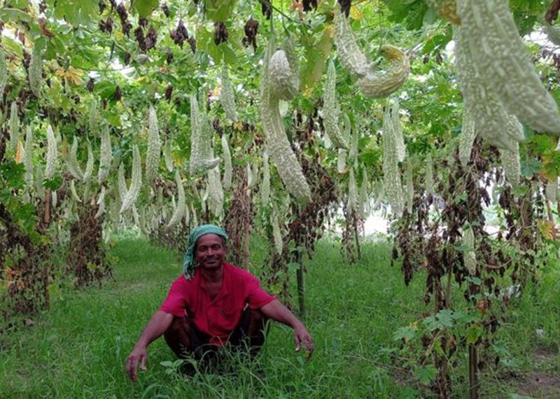 सङ्कल्प र लगनले चुम्दै सफलता