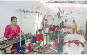 आत्मनिर्भर बन्न सीप सिक्दै पाल्पाका महिला