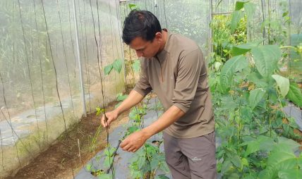 कोरियाबाट फर्केर व्यावसायिक कृषि फार्म सञ्चालन