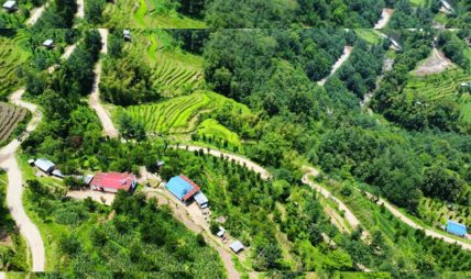 सिरदली-चौडेनी सडक स्तरोन्नति