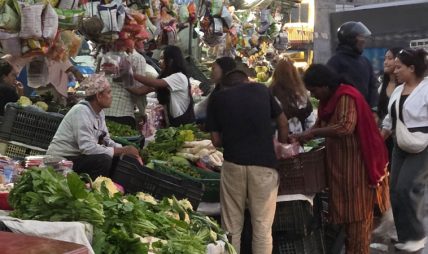 गर्मी छल्न भेडेटार आउने पर्यटकको कोसेली ‘अग्र्यानिक तरकारी’