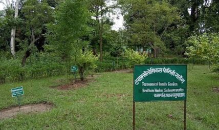 वनस्पति उद्यानभित्र नक्षत्र, राशि र ग्रह अनुसारको वृक्षरोपण सुरु वनस्पति उद्यानभित्र नक्षत्र, राशि र ग्रह अनुसारको वृक्षरोपण सुरु
