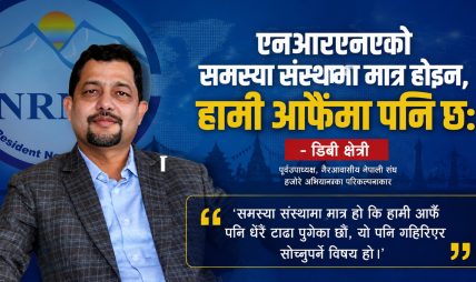 एनआरएनएको समस्या संस्थामा मात्र होइन, हामी आफैंमा पनि छ:  डिबी क्षेत्री