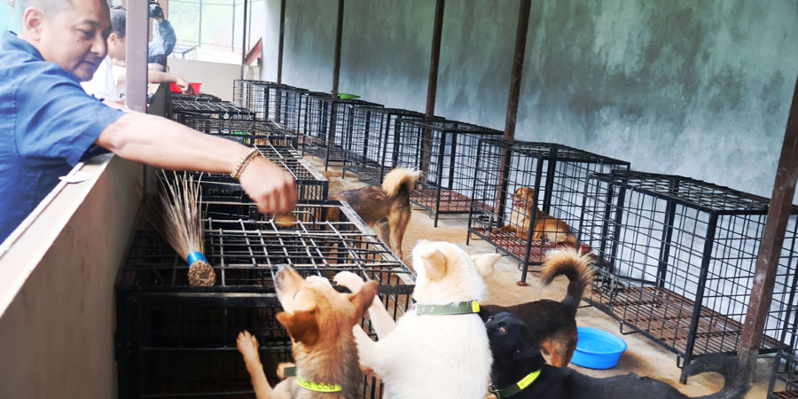 बागलुङ नगरपालिकाले बनायो कुकुरका लागि ‘होस्टेल’