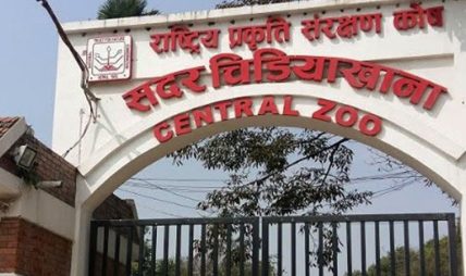 बर्डफ्लुका कारण जावलाखेल चिडियाखानालाई तीन करोड घाटा बर्डफ्लुका कारण जावलाखेल चिडियाखानालाई तीन करोड घाटा