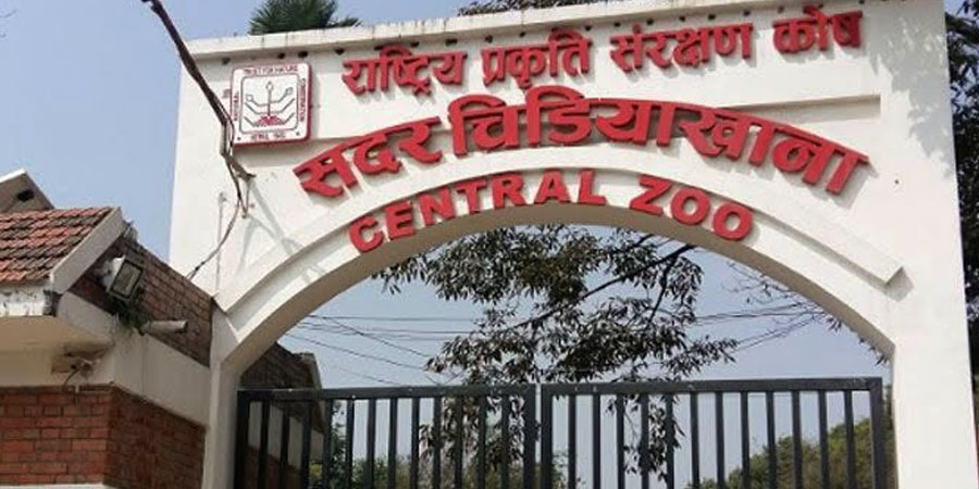 बर्डफ्लुका कारण जावलाखेल चिडियाखानालाई तीन करोड घाटा