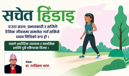 सचेत हिँडाईः एक विमर्श