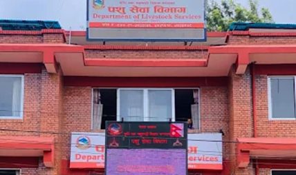 बर्डफ्लुबाट प्रभावित किसानलाई करिब ५२ करोड राहत उपलब्ध गराइने बर्डफ्लुबाट प्रभावित किसानलाई करिब ५२ करोड राहत उपलब्ध गराइने